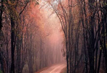 鲸鱼体育:✅水晶宫3-0完胜富勒姆晋级足总杯半决赛,豪取各项赛事6连胜.