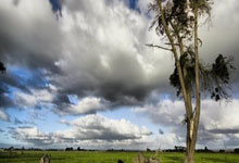 [乒乓球]新加坡大满贯首批参赛名单公布.