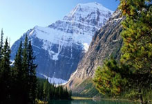 换人失误,临场反应慢!辽宁手握好局被逆转,赵勇难去国家队.