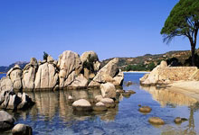 比约尔:国米的兴趣?我确信今夏会有一些机会出现.